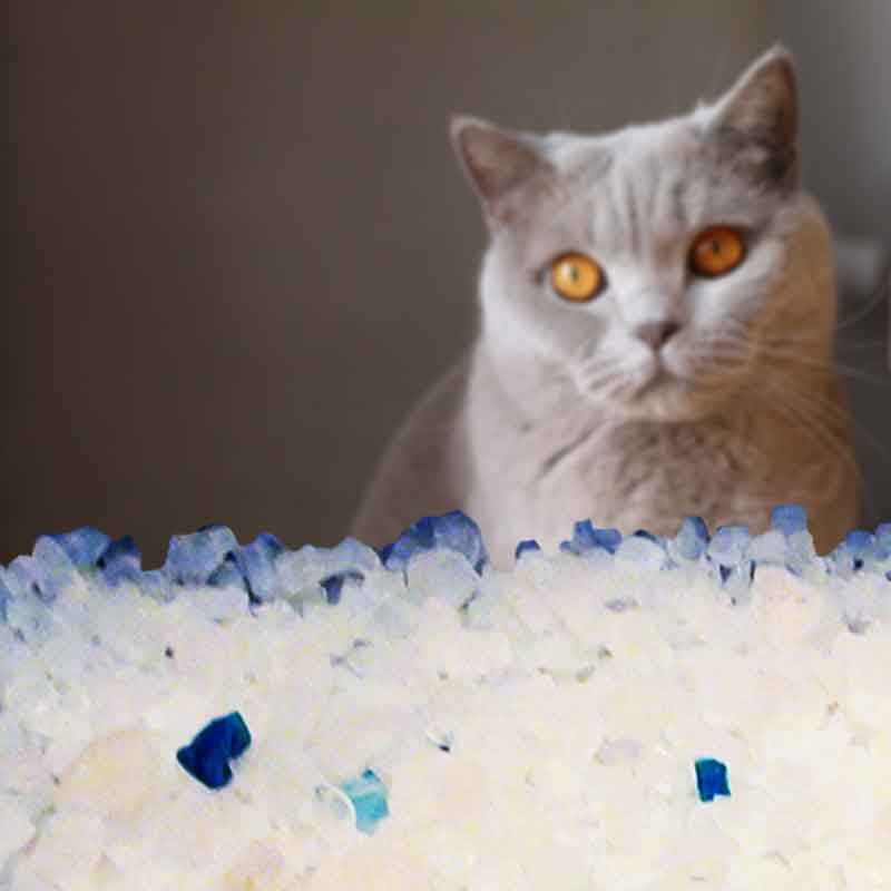 47