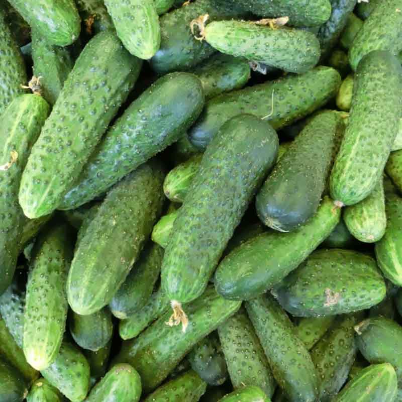 182